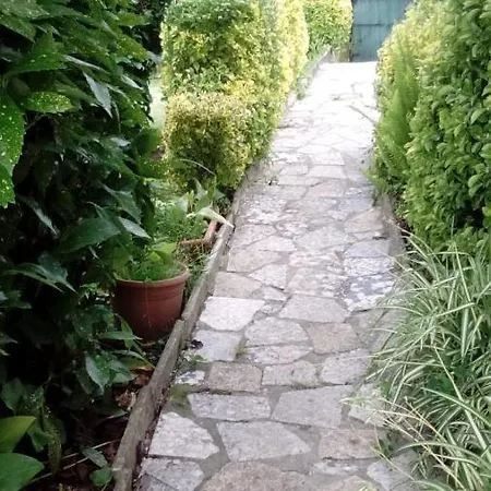 Vixia Do Val Classic *